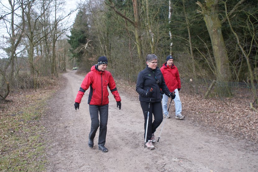 Bosloop Brecht - 20